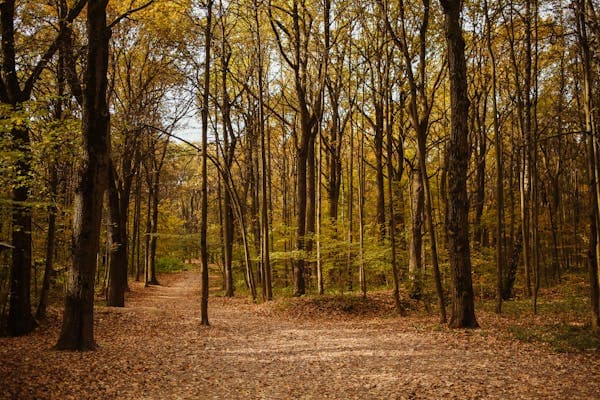 Migraine en herfst